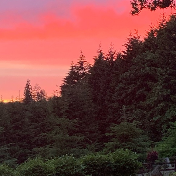 Meet your Posher, Heather - Picture 2 of 2